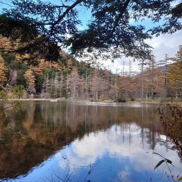 晩秋の明神池